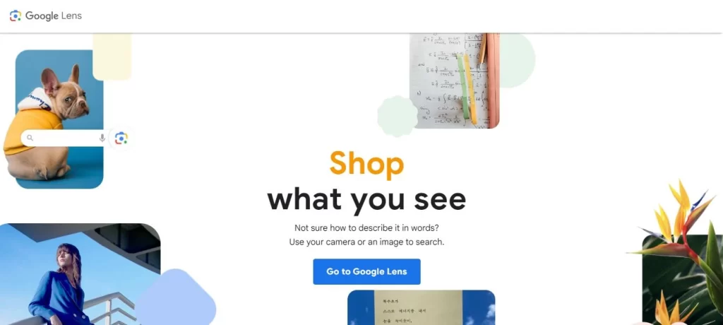 Google lens website